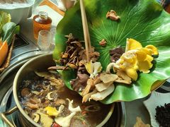 -大理董·董家小厨野生菌火锅(古城旗舰店)