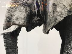 -悦健身游泳健身馆(宋家庄店)