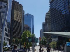 -飞跃加拿大