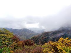 -大岭沟猕猴桃谷风景区