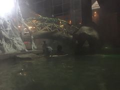 -裕龙汤泉
