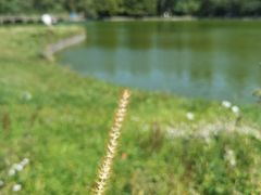 -武陵山森林公园