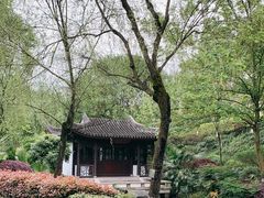 -重庆园博园