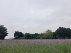 -厦门园林博览苑