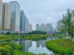 -花果园湿地公园