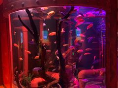 -沈阳海洋探索中心