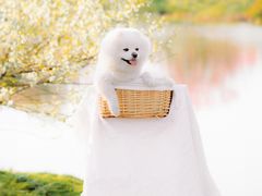 -花开海上生态园