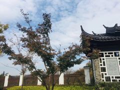 -龙寺生态园