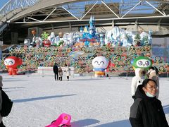-沈阳奥体冰雪嘉年华