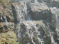-长沙黑麋峰国家森林公园