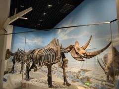 -国家自然博物馆