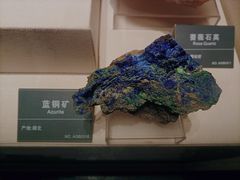 -安徽省地质博物馆