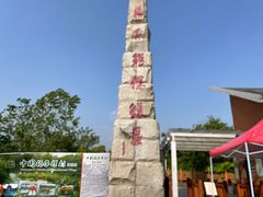 -中国扬子鳄村