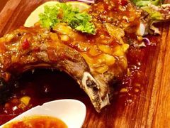 -茉莉.Red Crab
