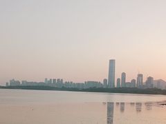 -深圳湾公园(南山区)