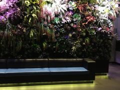 -海底捞火锅(金花路店)