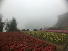 -广州市石门国家森林公园