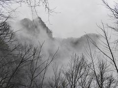-王顺山国家森林公园