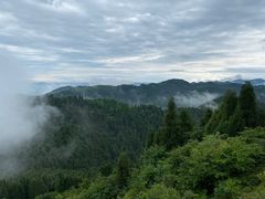 -武陵山森林公园