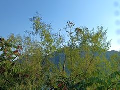 -湖洞水自然风景区