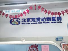 -北京观赏动物医院·24小时大型综合·猫专科·异宠专科