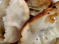 -胖子锅贴(双阳路111弄店)