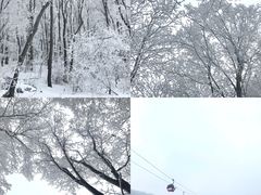 -中旅松花湖滑雪场