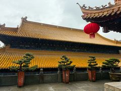 -普陀山风景名胜区-法雨禅寺