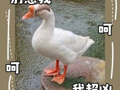 -龙华寺