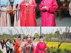 -杭州湾海上花田景区