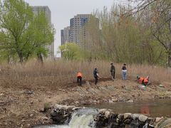 -长白岛森林公园