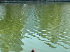 -美兰湖景区