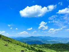 -大姆山草场