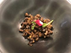 -诺莱仕游艇会