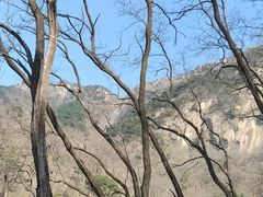 -泰山风景名胜区