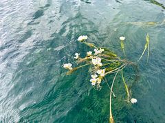 -丽江泸沽湖景区