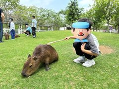 -盈香心动乐园