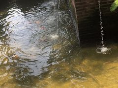 -顺风山庄(水濂山店)