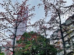 -烈士陵园(地铁站)