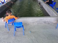 -会江钓鱼钓虾烧烤场