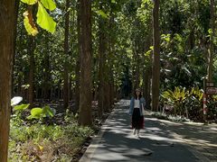 -中国科学院西双版纳热带植物园