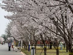 -石家庄市植物园