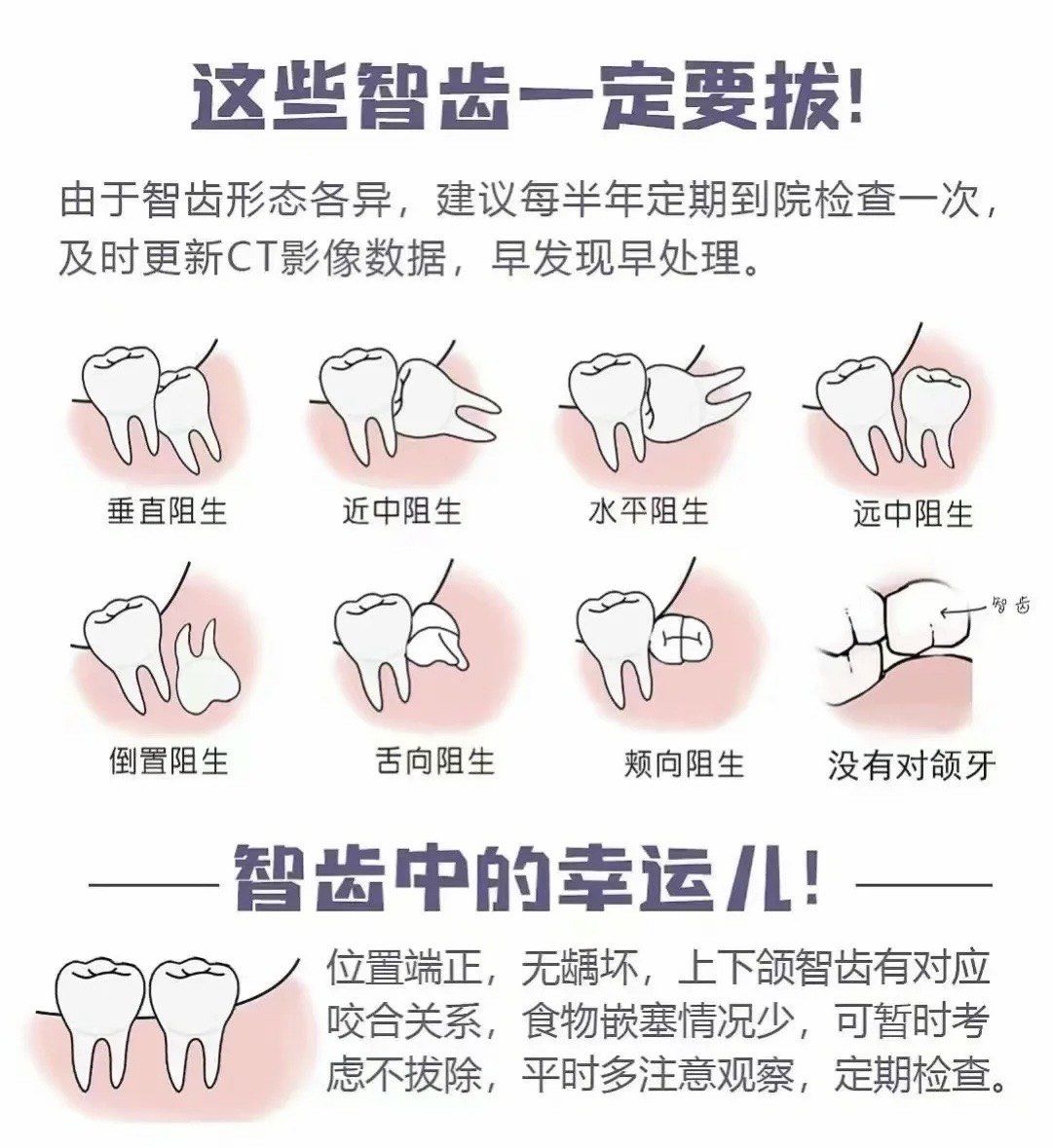 为什么要长智齿智齿有什么用为什么在线 为什么要长智齿智齿有什么用为什么在线