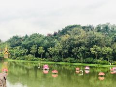 -西双版纳总佛寺