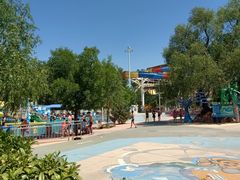 -海盗传奇水世界