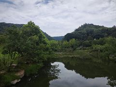 -桃花岭景区