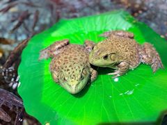 -传统菜农庄(皇姑路店)