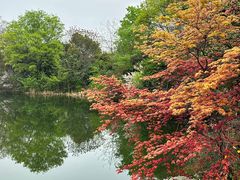 -桃花岛景观公园