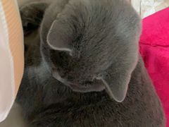 -瑞鹏宠物医院·爱宠堂·骨外专科(西荷分院)