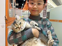 -三花喵·撸猫购宠·宠物生活馆(虹桥南丰城店)